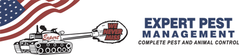 Best Bed Bug Exterminator Near Me | Expert Pest Management